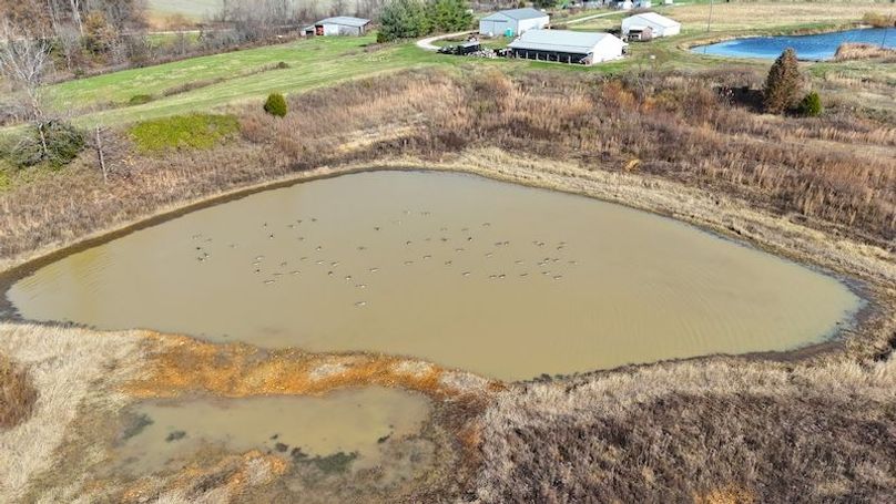 DJI_20251112132809_0567_D