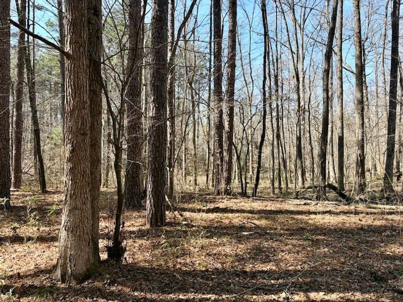 95BA1B54-35E2-485B-A082-A06783968989_1_105_c