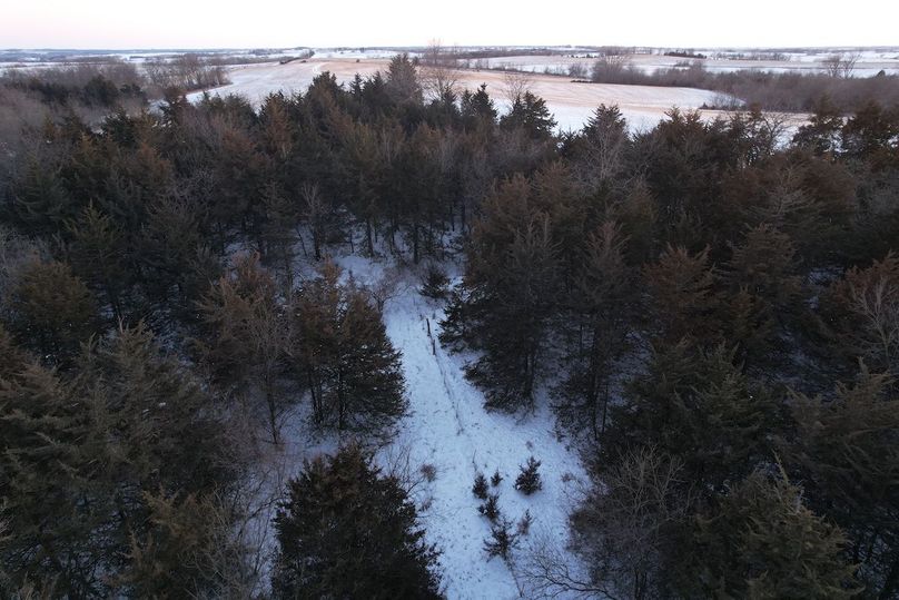 DJI_0564