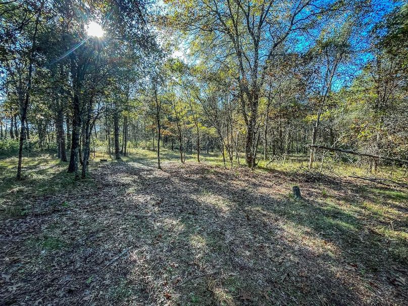 Juneau 27 Wiesner -061