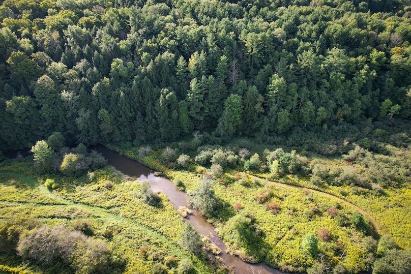 Tioga__NY_109.7_Burris_Photos_15