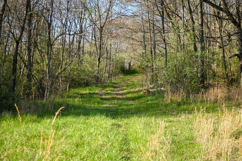 vandalia 450 (2)-2455