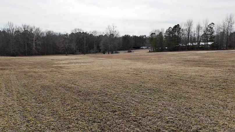 dji_fly_20260212_143728_0306_1770925836470_photo