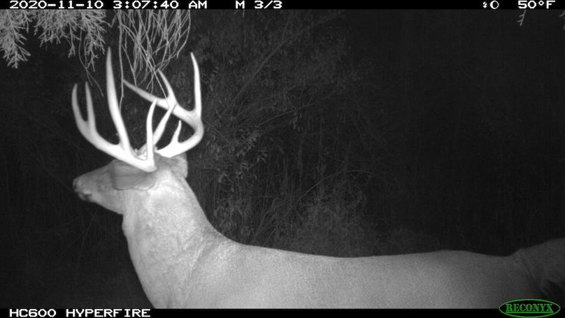 2020-11-10 03-07-40 M 3_3