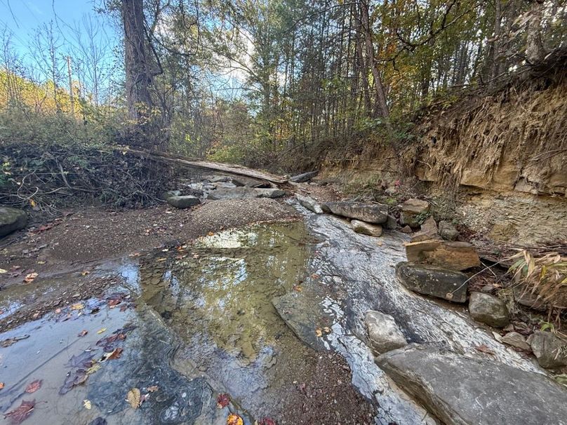 009 another view of the creek flowing through the property