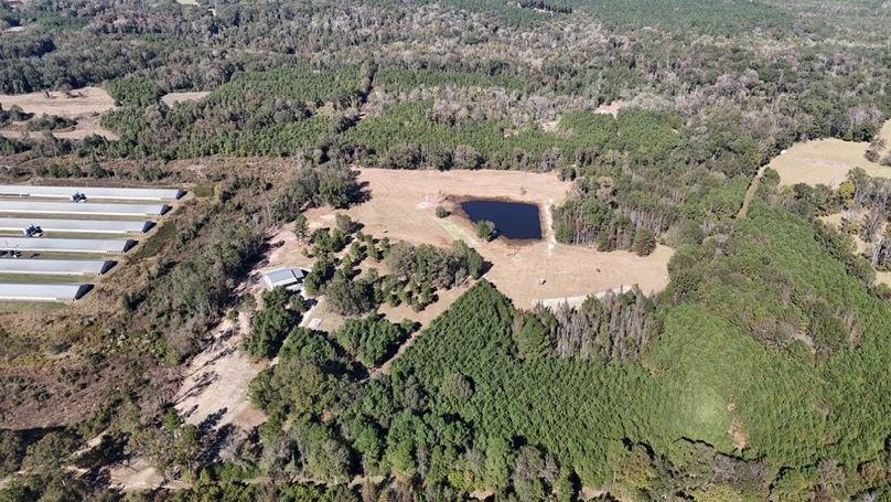 DJI_20251106033254_0843_D