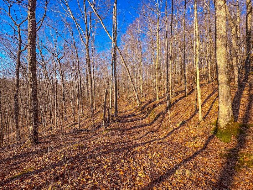 Lewis, WV 82.87 AC Barger-35