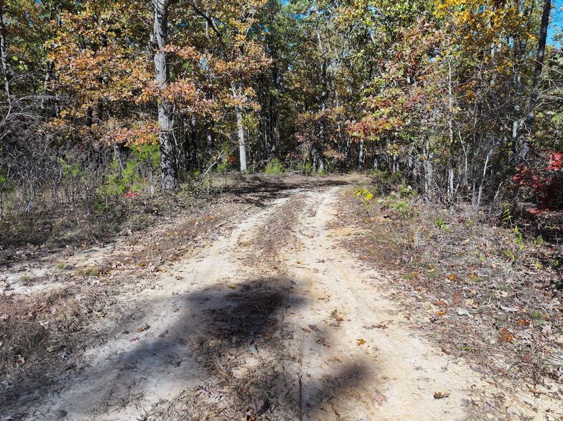 DJI_20251104131244_0864_D