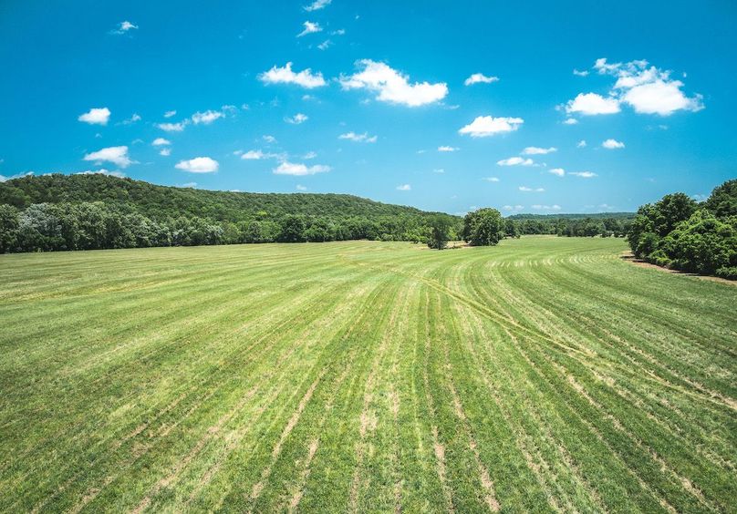 DJI_20250621133702_0630_D