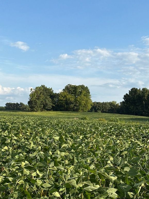 DJI_20250912_172924_405