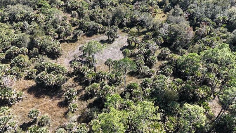 DJI_20251121122044_0019_D