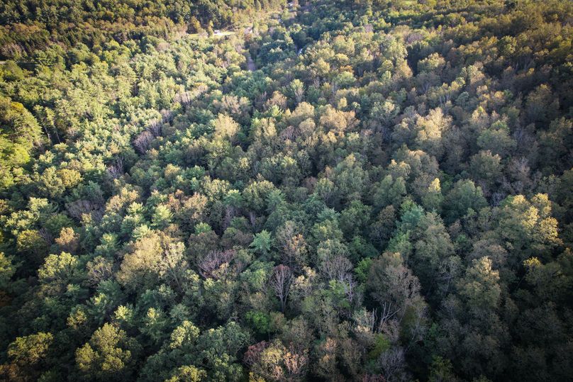 Tioga_20_Peters Photo 9