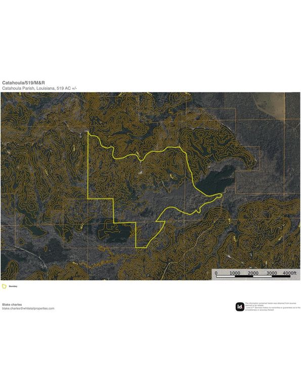 Catahoula_519_contour