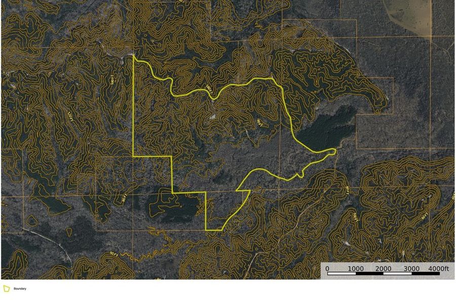 Catahoula_519_contour
