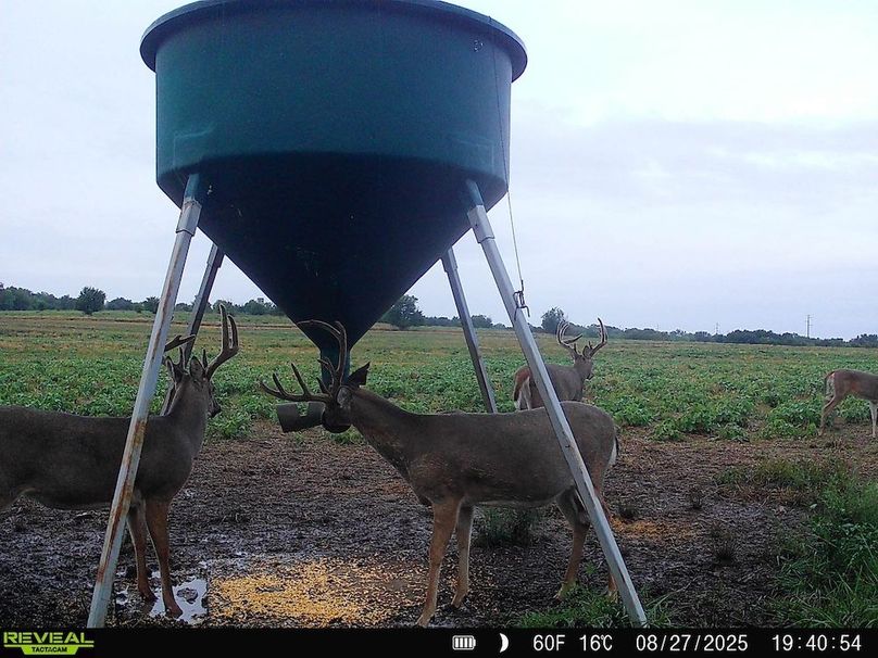 860516064952926-90-2-08282025052810-HD-SYFW4797