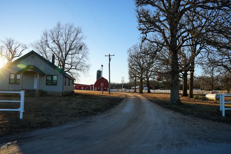 DSC02464bluestem