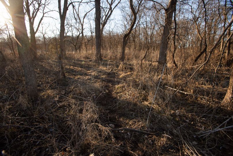 WORTH CO MO 537.44_85