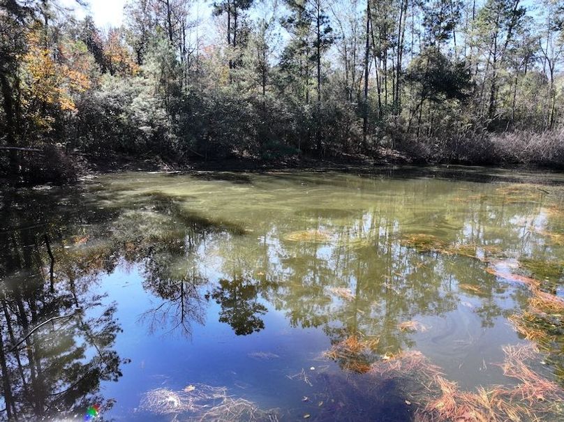 dji_fly_20251209_122524_0775_1765308494718_photo