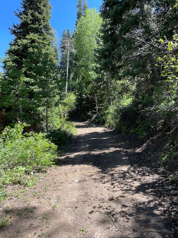 6 photo sanpete 555