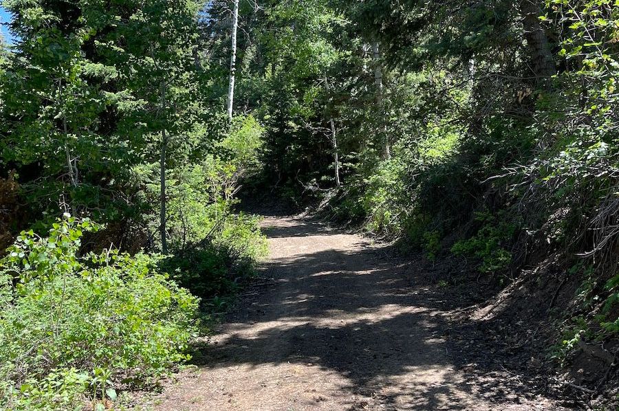 6 photo sanpete 555
