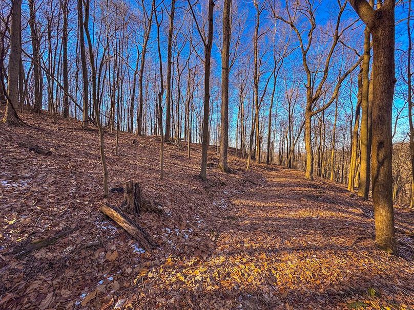 Pleasants, WV 81 AC Barron-29