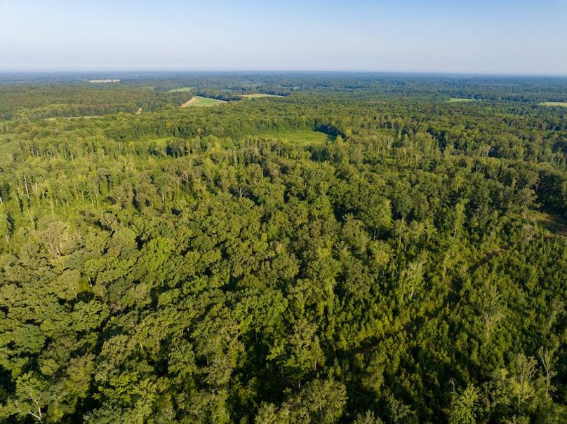 Itawamba 400 Moore-63