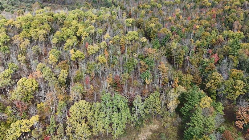 DJI_20251017132025_0747_D