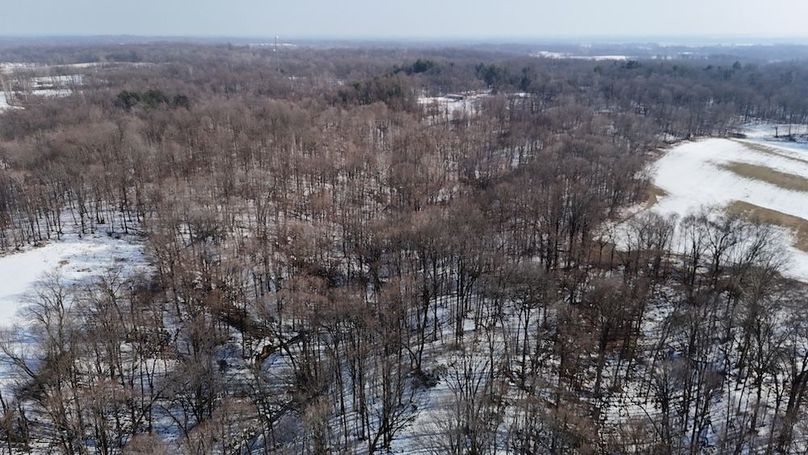 dji_fly_20260210_152514_0240_1770821602164_photo