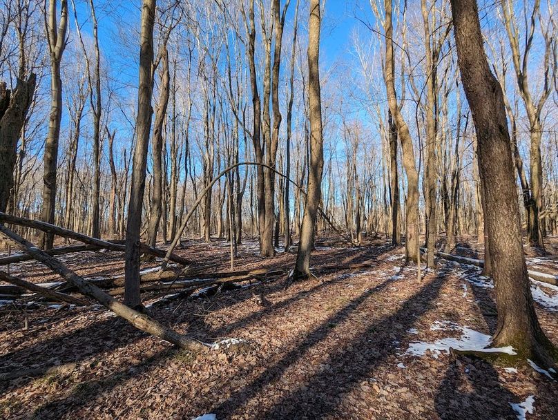 PXL_20240229_211439432