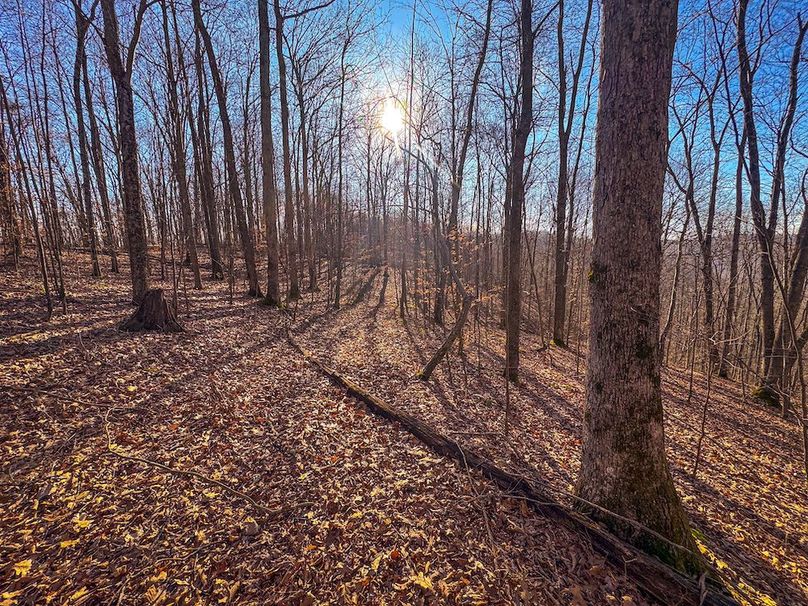 Lewis, WV 82.87 AC Barger-39