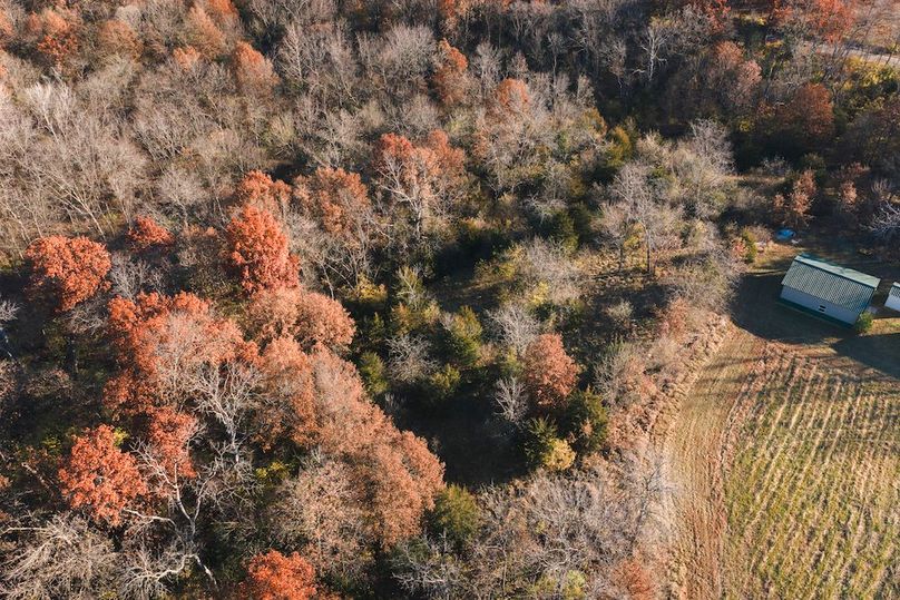 DJI_20251116084225_0134_D