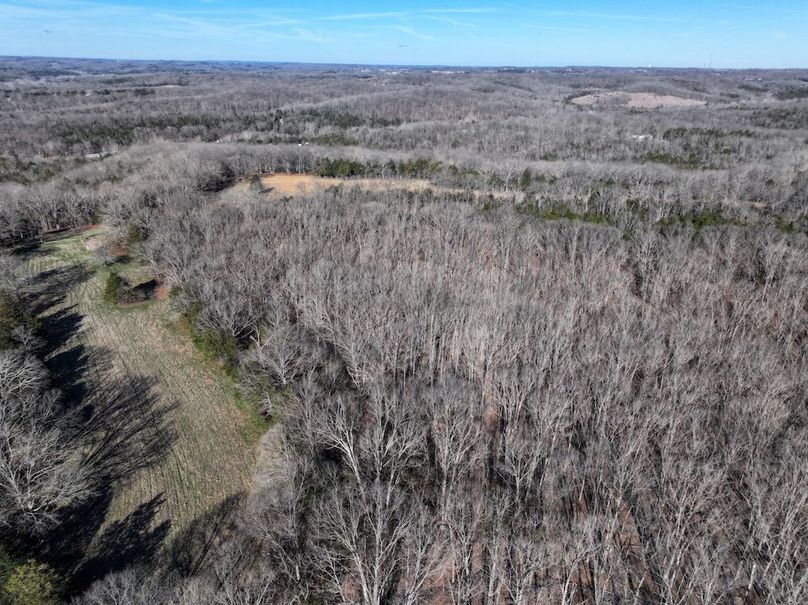 DJI_20260317092629_0959_D