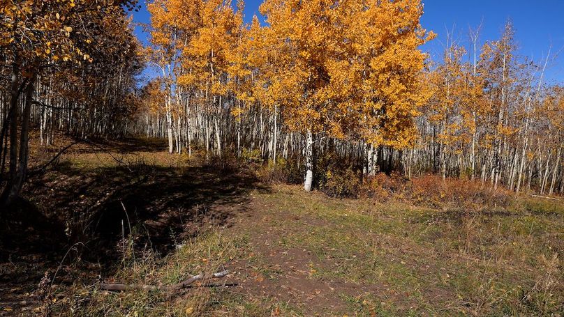 Copy of Mesa CO 1,517_Pic 13