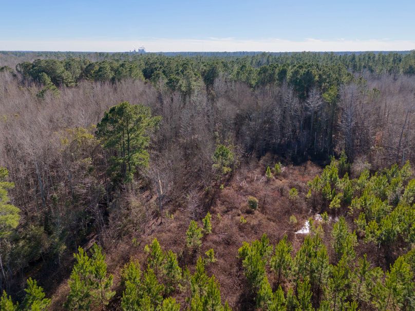 Pender NC 382 - Edits-34