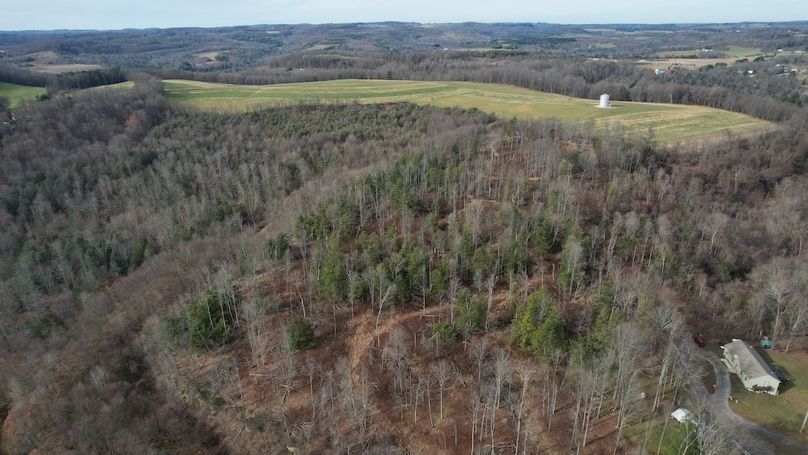 dji_fly_20251124_130854_26_1764007915240_photo