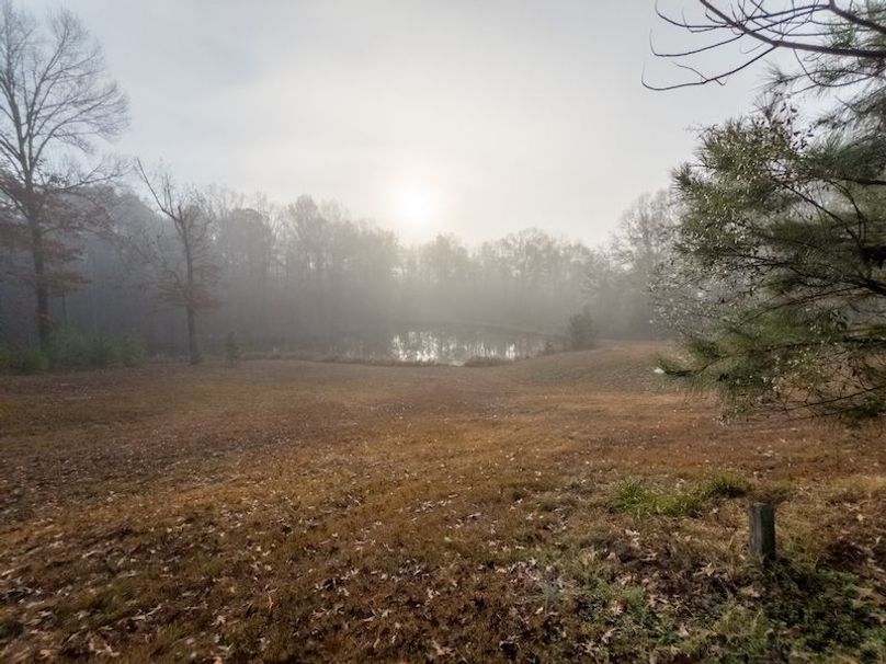 Claiborne Co - 274 - Marian-103