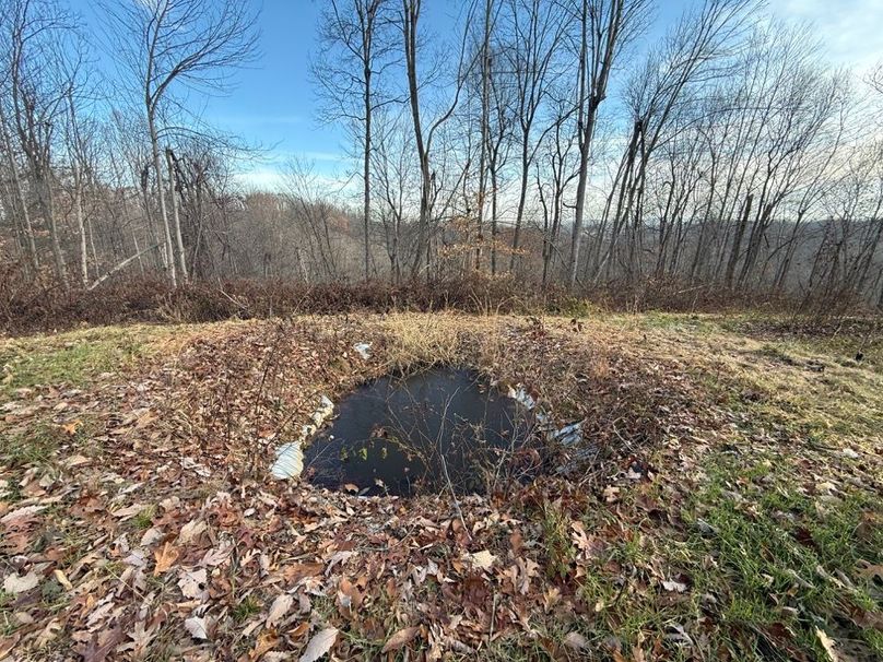 015 one of the wildlife watering holes established on the property