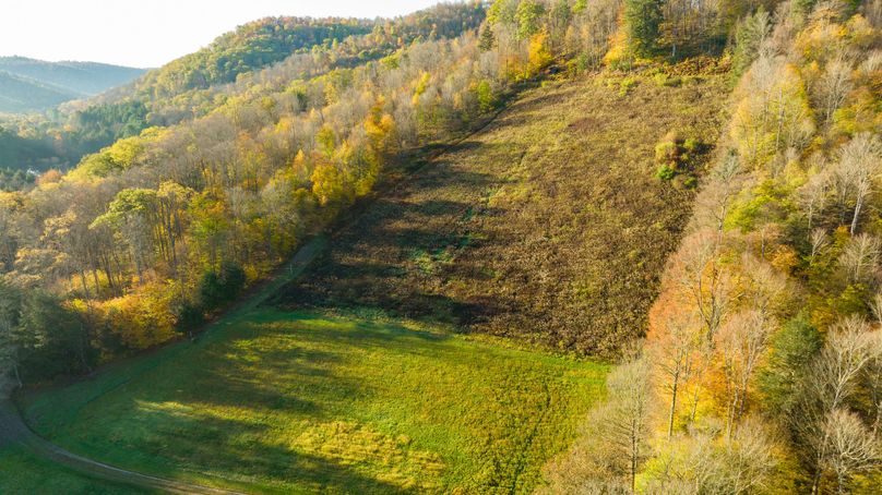 Elk PA 7000 Feature_Pro Photo-80