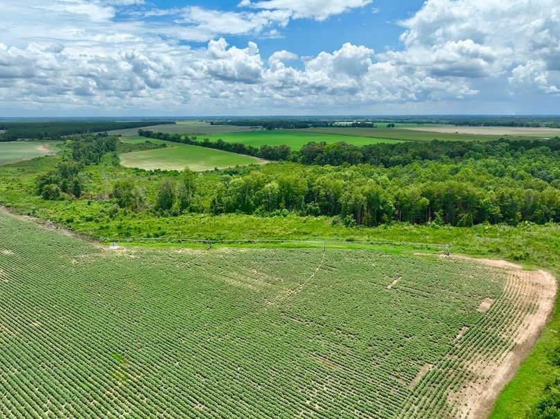 dji_fly_20240703_142626_509_1720038340729_photo