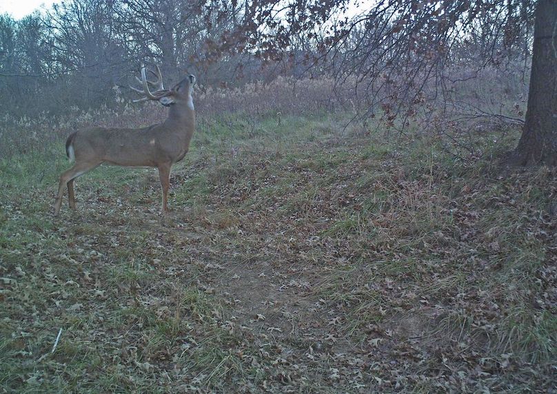 Copy of paul.daylight.4