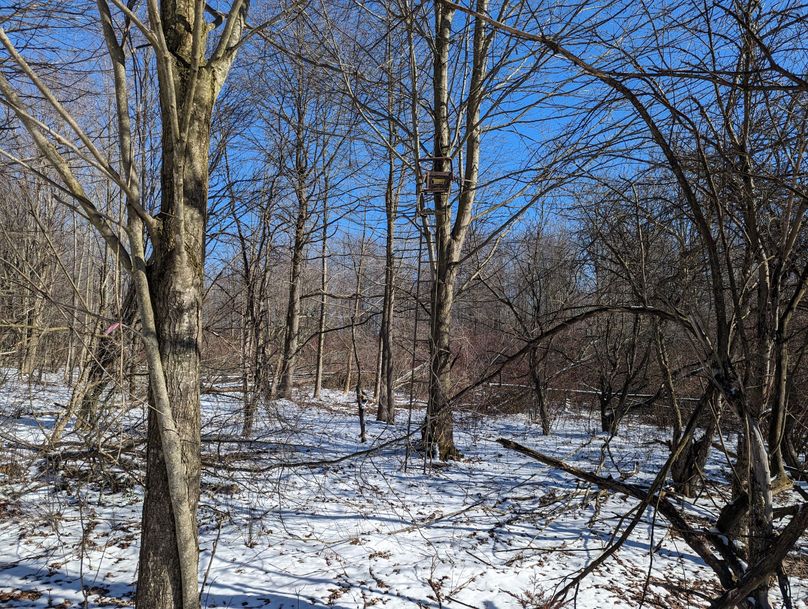 PXL_20230202_164118473