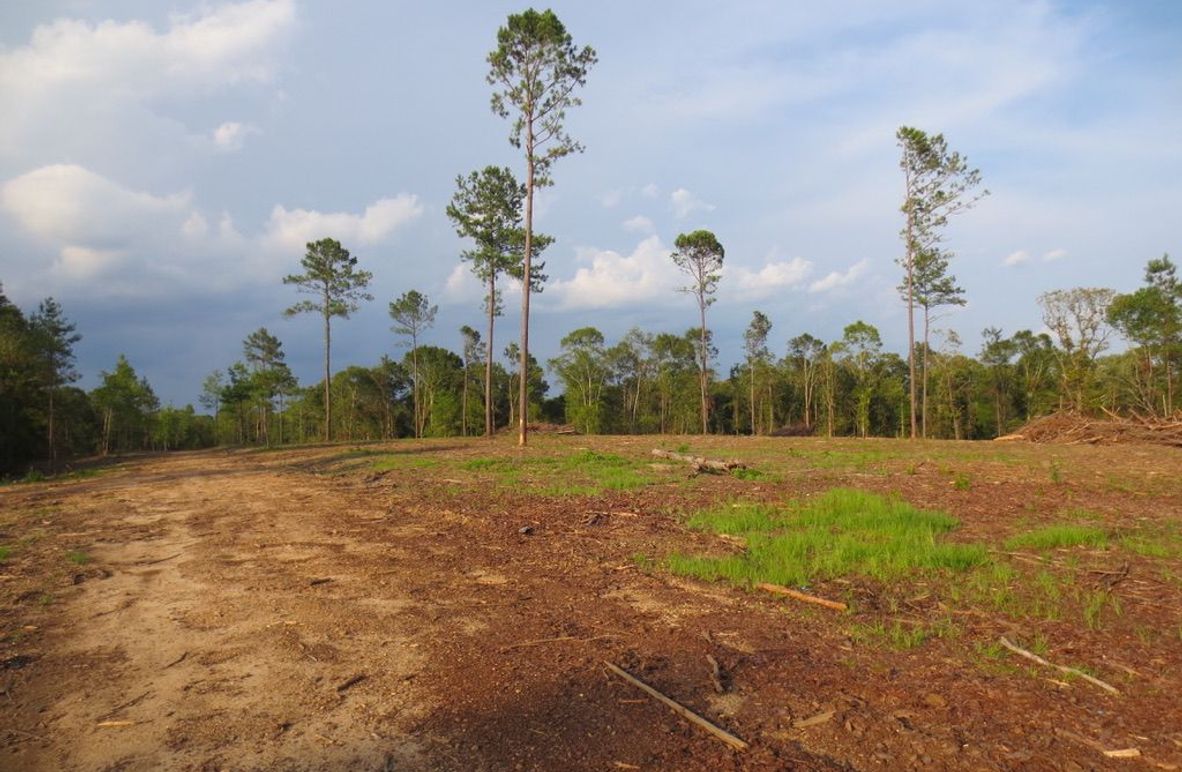 84BA5EBB-DE7F-4D74-9CAA-5825DE20A300_1_105_c