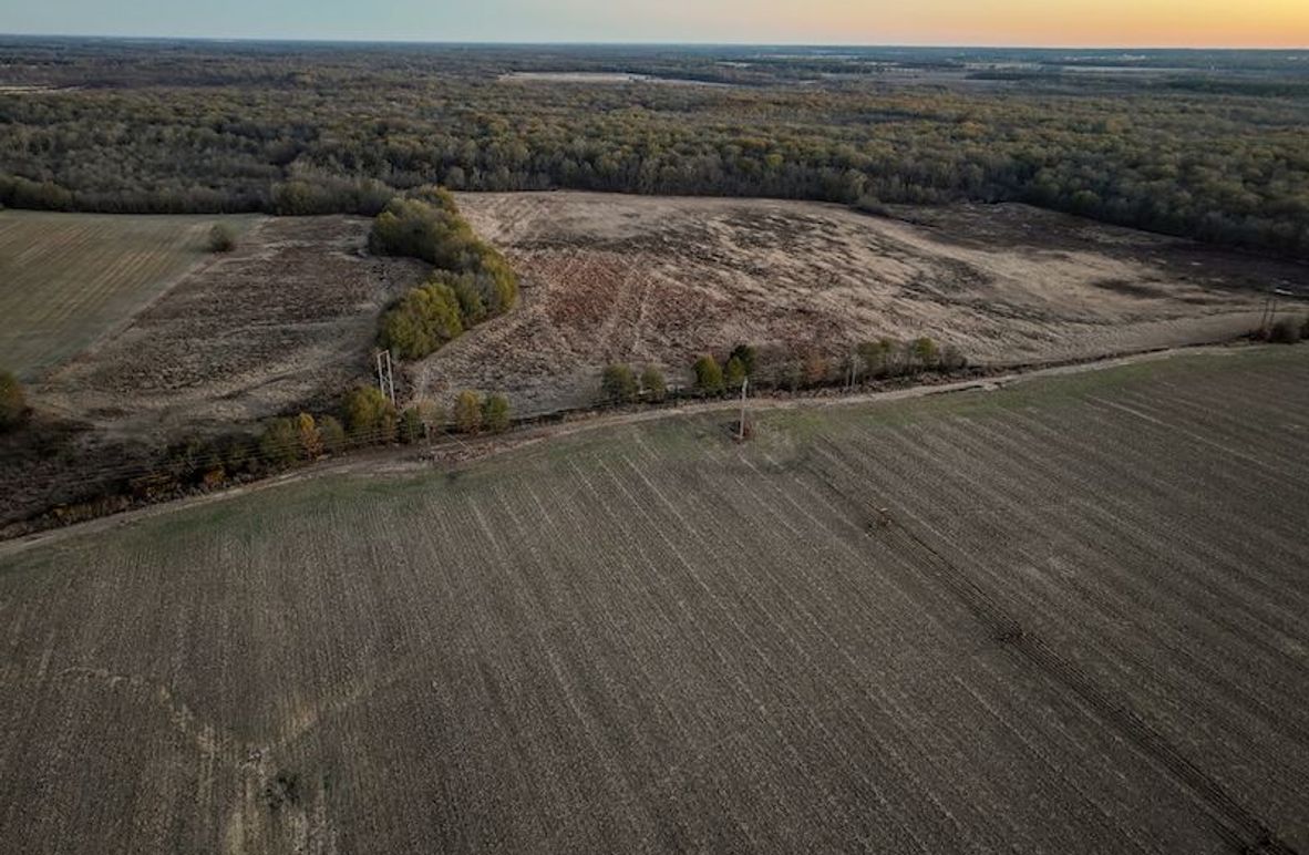 St. Francis 216.9 Calvin Parker Farms Profile -04