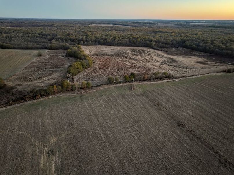 St. Francis 216.9 Calvin Parker Farms Profile -04