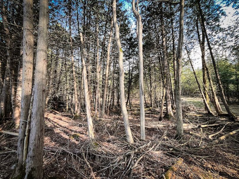 StLawrence_142.7_Bosse_Photos_61