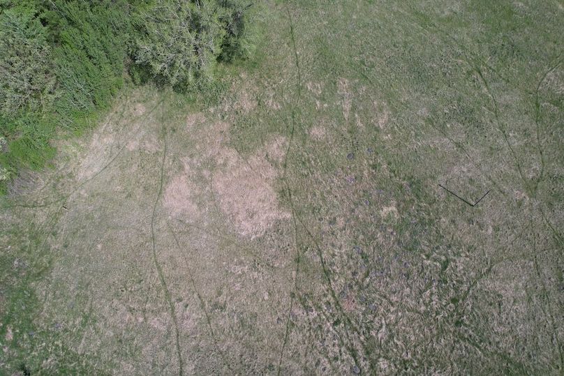 dji_fly_20260528_105704_367_1779984271107_photo