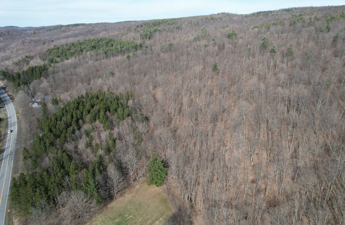 Ontario_39.6_Powell Photo 1