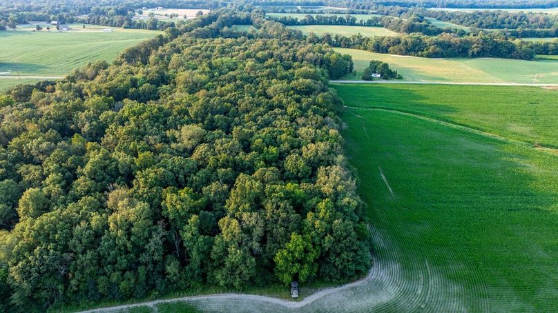 Copy of DJI_20250806060139_0060_D Large