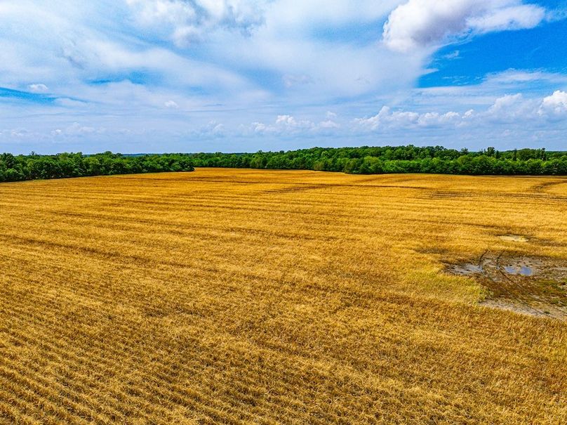 Copy of Noxubee 40 Tract 2-04