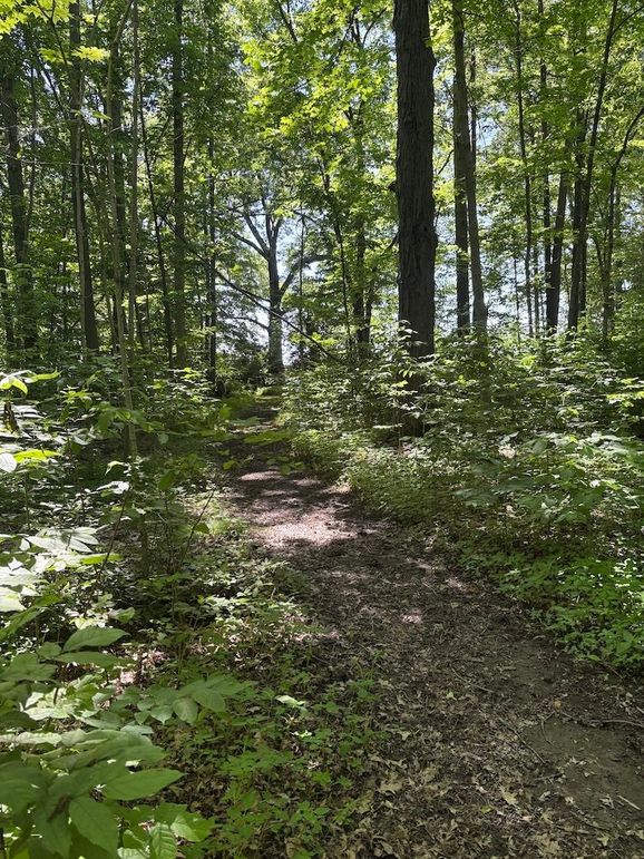 trail 16